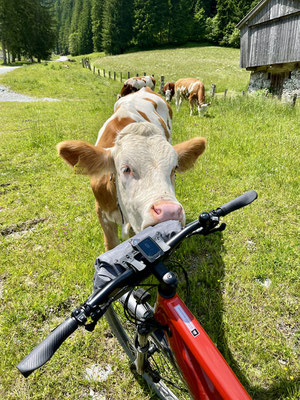 Judith`s Bike begeistert