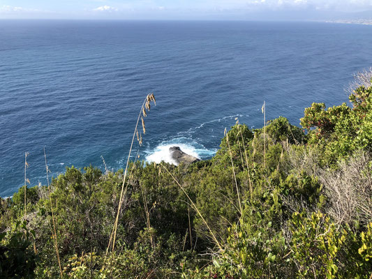 der Felsen von Punta Chiappa in der Brandung