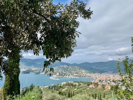 Blick etwas oberhalb von Sant`Ambrogio auf die Bucht von Rapallo