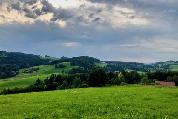 Abendstimmung nach dem Gewitter