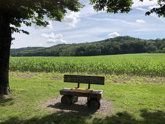 Bank am Wegesrand