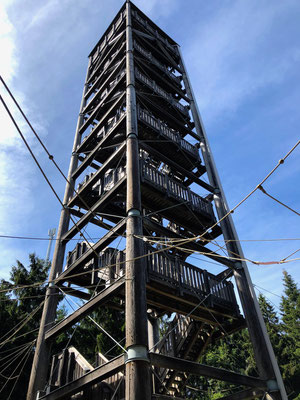 hölzerner Aussichtsturm am Haidel