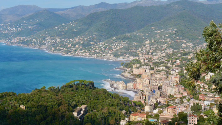 Blick auf die Bucht von Camogli