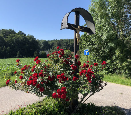 ein Feldkreuz am Wegesrand des AAR