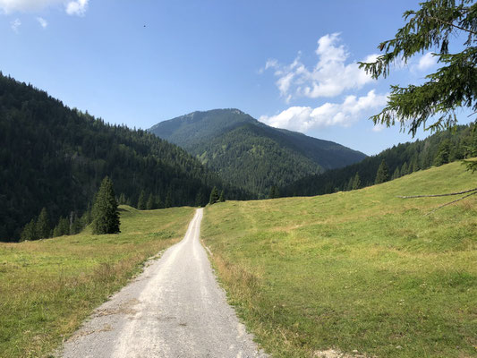 die Brecherspitze im Blick