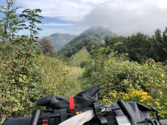 unterwegs auf dem Wanderweg