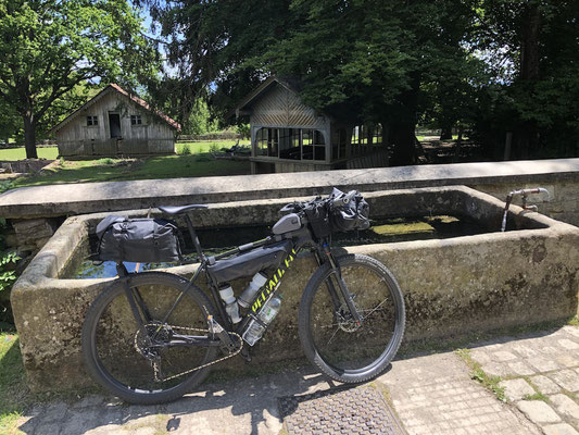 Berghuhn, Bayerischer Wald