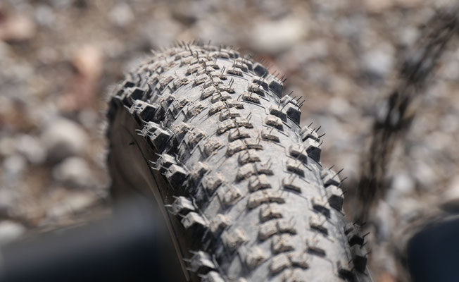 feines Profil des Pirelli Scorpion