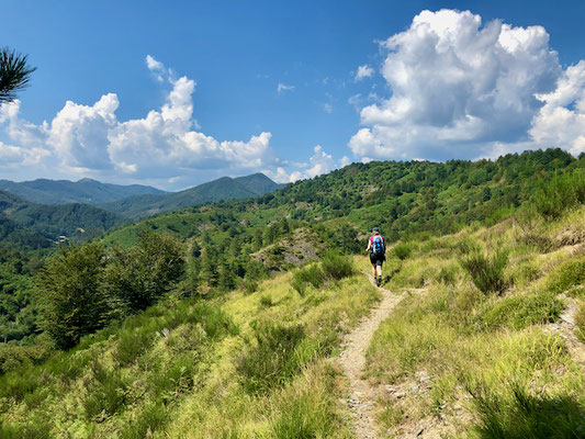 Hin- und Rückweg nahe Passo della Forcella