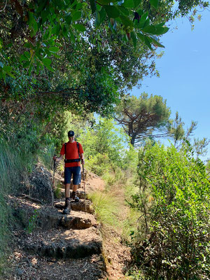 Weg von Nozarego nach San Fruttuoso 