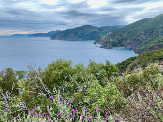 Steilküste der Cinque Terre