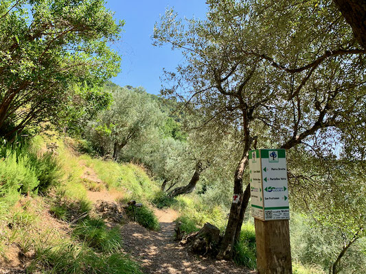 Weg von San Fruttuoso nach Nozarego