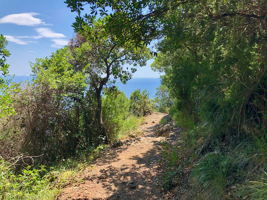 Weg von Nozarego nach San Fruttuoso 