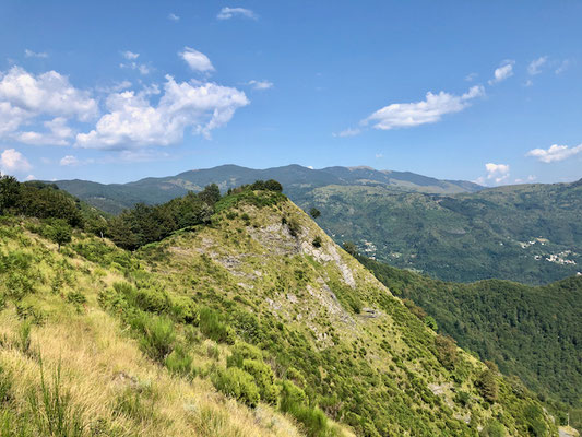 Hin- und Rückweg nahe Passo della Forcella