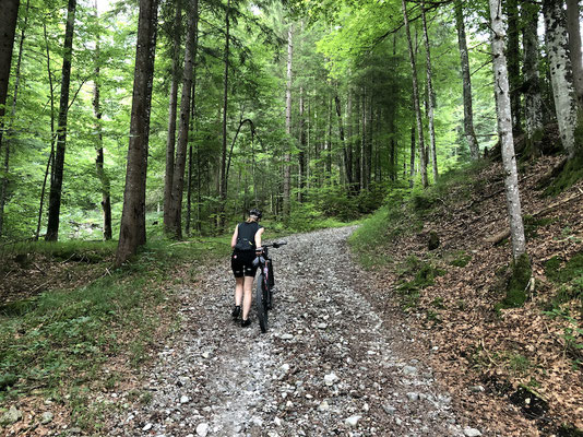 kurze Schiebepassage