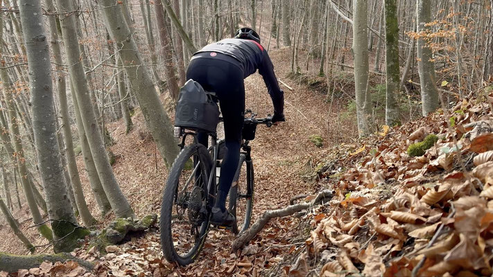 Test des Scorpion XC RC auf Trails