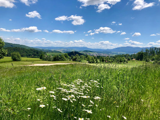 Berghuhn, Bayerischer Wald