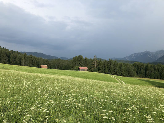 ein kurzer Regenschauer am Vormittag