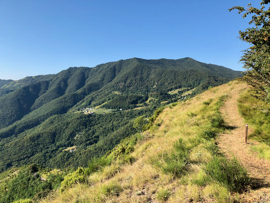 Erster Teil des Wanderwegs mit Blick auf den bewaldeten Rücken des Monte Ramaceto