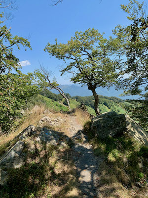 Wanderpfad am Gipfelkamm