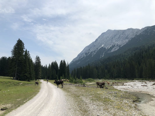 im unteren Teil weitet sich das Gaistal