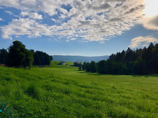 Morgenstimmung nahe Breitenberg