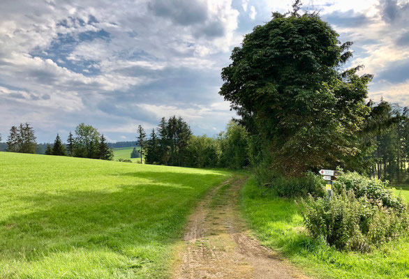 auf kleinen Wegen gehts nach Breitenberg