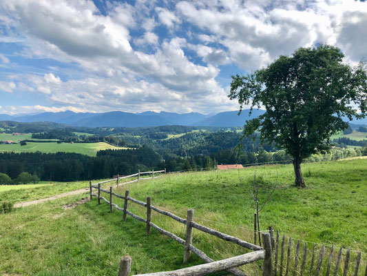 schöner Ausblick zu den Bergen