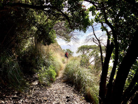 schöner Wanderweg