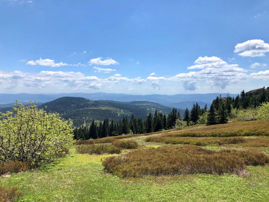 Blick vom Großen Arber