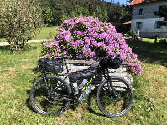 unterwegs auf der Trans Bayerwald