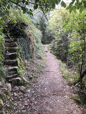 der anfangs gepflasterte Weg wird zum Wanderweg