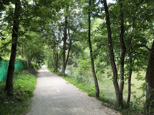 schattiger Abschnitt auf dem Ammer-Amper Radweg