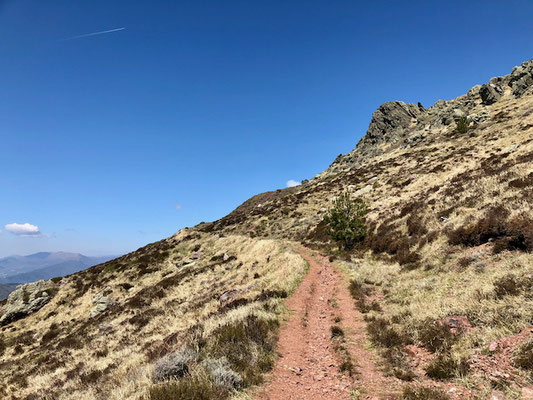 der breite Fahrweg zum Monte Porcile verengt sich