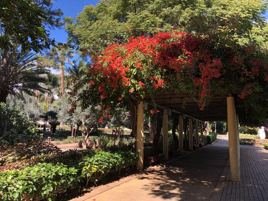 Parque Municipal García Sanabria