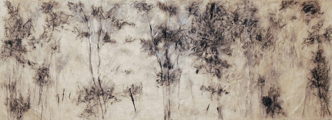 Bleistift, Kohle auf Nepalpapier (2019) 25x68 cm