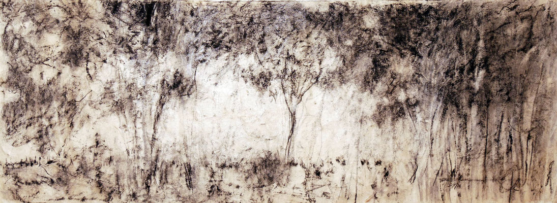 (2019) Bleistift, Kohle auf Nepalpapier  25x68 cm