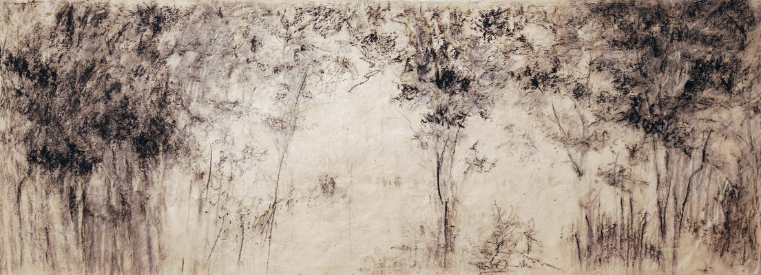 Bleistift, Kohle auf Nepalpapier (2019) 25x68 cm