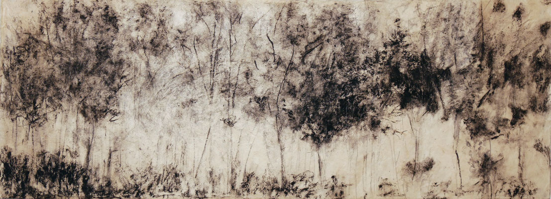 Bleistift, Kohle auf Nepalpapier (2019)  25x68cm