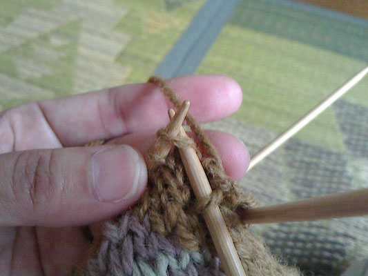 左隣の糸を、右側の針で編んでいきます。