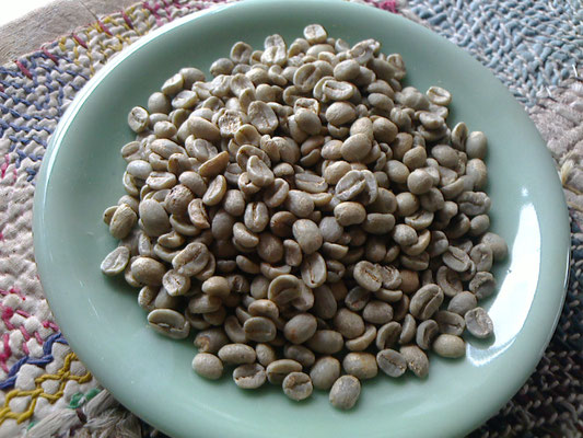 ヴァテマラです。前回と同じ水洗式の精選方法ですが、今回からブルボン種のカトゥーラという種の豆になりました。
