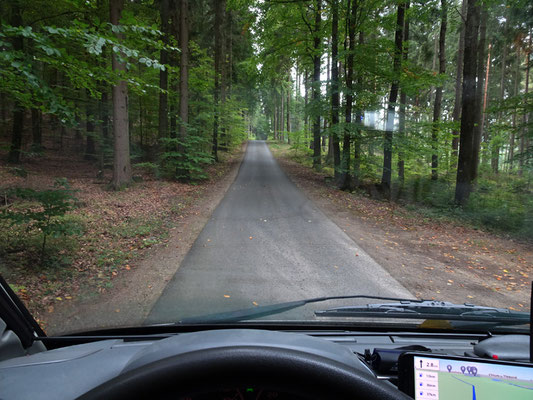 einspurige Straße durch den Wald