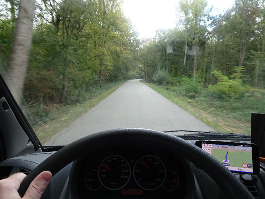 Wald bei Nickelsdorf