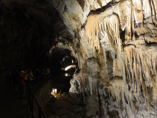 Höhle von Postojna,die Gänge sind 21km lang