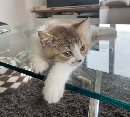 Lenny