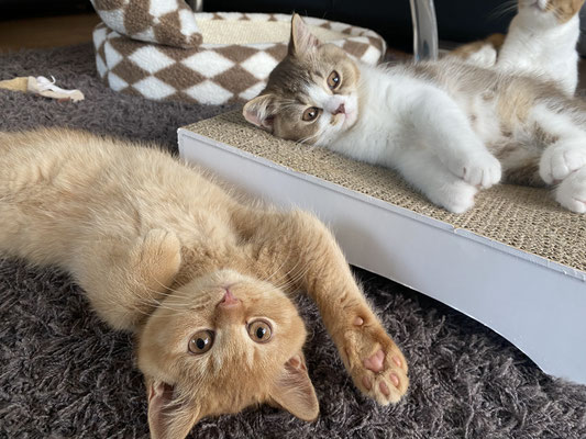 Lynn und Lenny