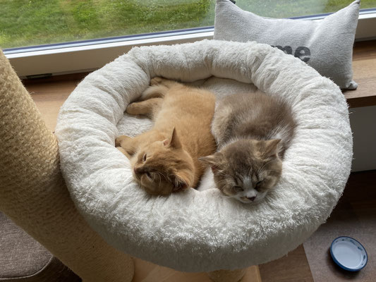 Lynn und Lenny