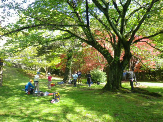 緑に見とれる景色の中での講習会(皇子が丘公園内)