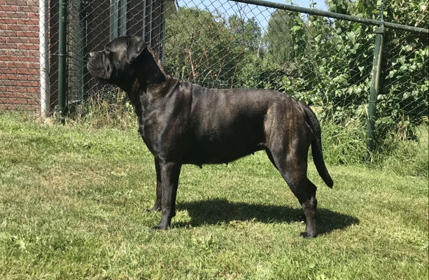 Saartje 3 jaar en 3 mnd oud