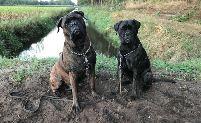 Blacky en kleindochter Viva. Augustus 2020.